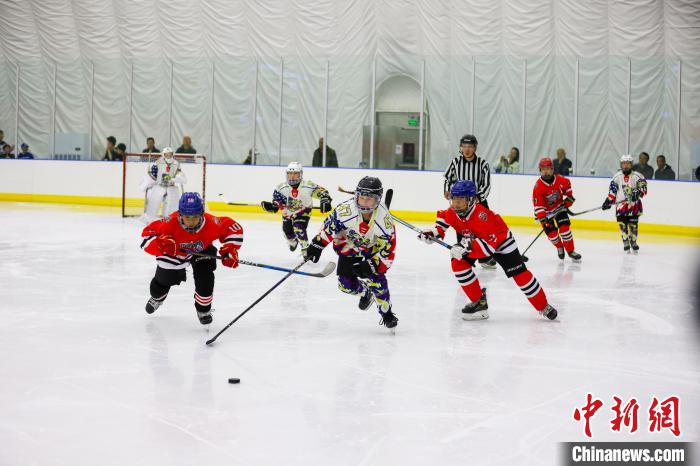 哈尔滨盛夏点燃冰球激情：2024年上海合作组织成