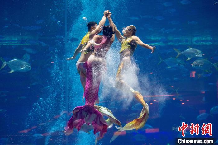 首届美人鱼亚洲杯在三亚揭幕，国际化竞技迈向