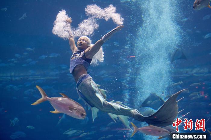 首届美人鱼亚洲杯在三亚揭幕，国际化竞技迈向